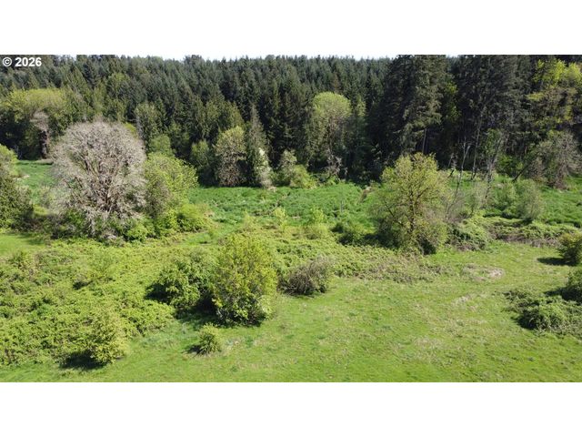 31080 Sw FIRDALE Rd, Cornelius, OR 97113