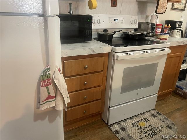 4025 N Bluewater Drive, Hernando, FL 34442