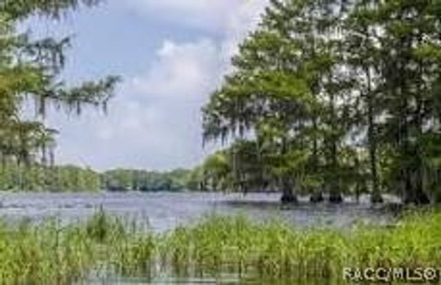 4025 N Bluewater Drive, Hernando, FL 34442