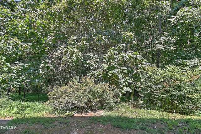 4148 Skyland Drive, Kingsport, TN 37664