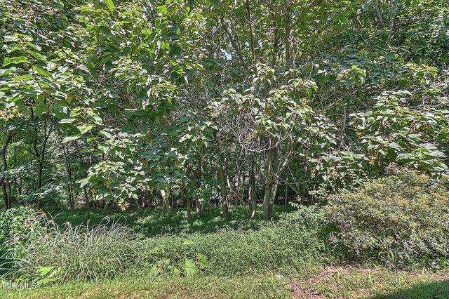 4148 Skyland Drive, Kingsport, TN 37664