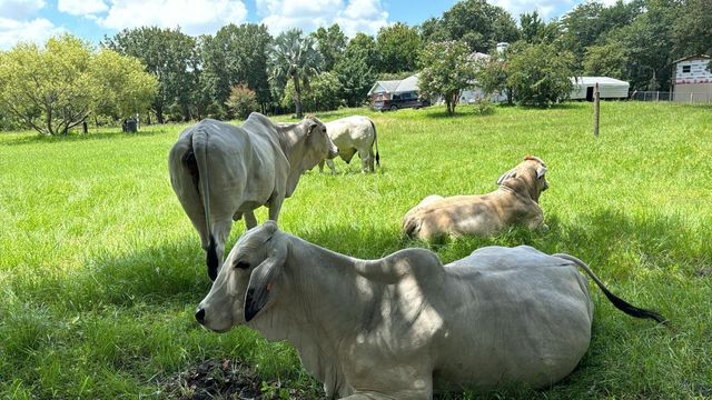 6780 SUGARBUSH LANE 9, Polk City, FL 33868