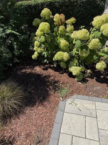 42 Marlborough Street, East Greenwich, RI 02818