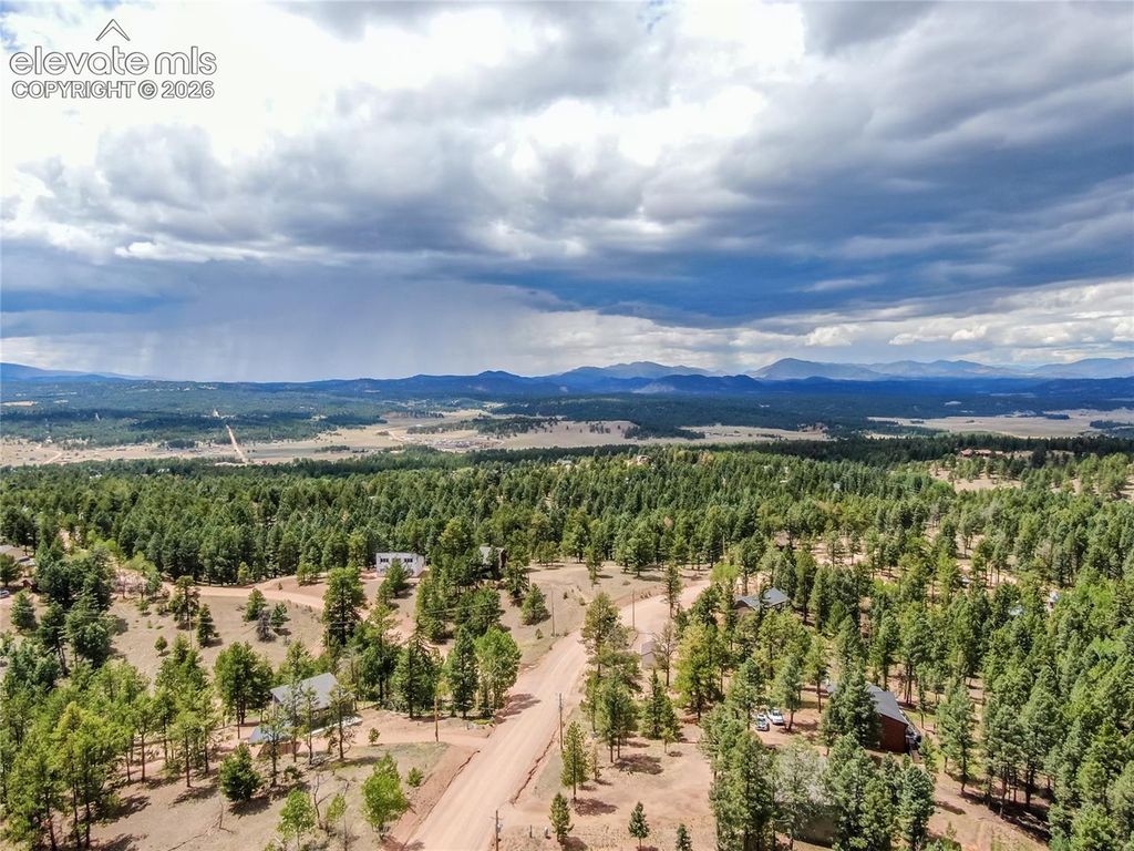1427 N Mountain Estates Road, Florissant, CO 80816 — photo 4