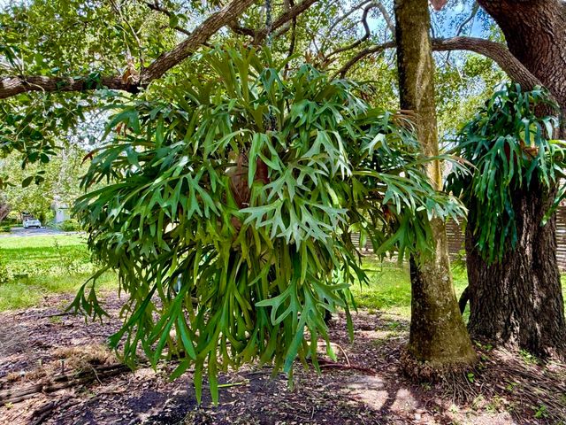 7940 SW 166TH Street, Palmetto Bay, FL 33157