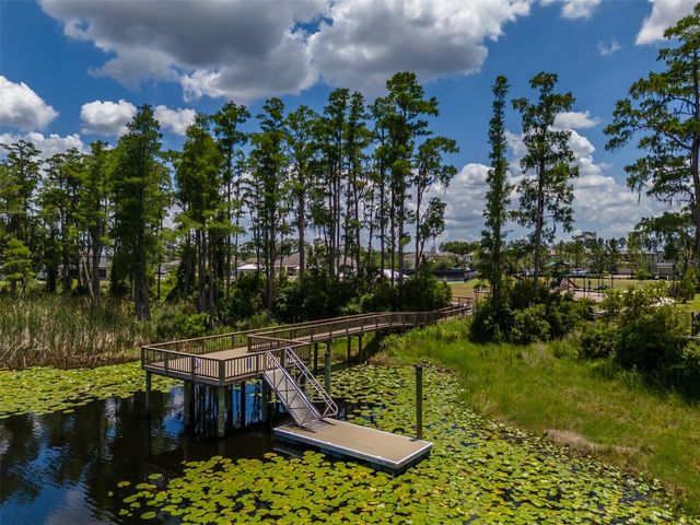 1686 CHERRY WALK ROAD, Lutz, FL 33558