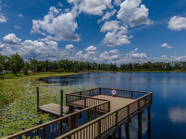 1686 CHERRY WALK ROAD, Lutz, FL 33558