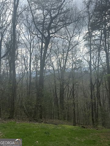 560 Amicalola Woods Road, Dawsonville, GA 30534