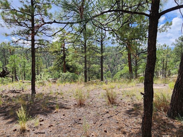 23 Timber Ridge, Los Alamos, NM 87544