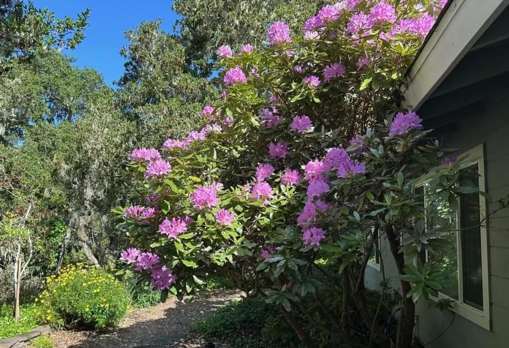 Image 34 of property listing at 25349 Flanders Drive, Carmel, CA 93923