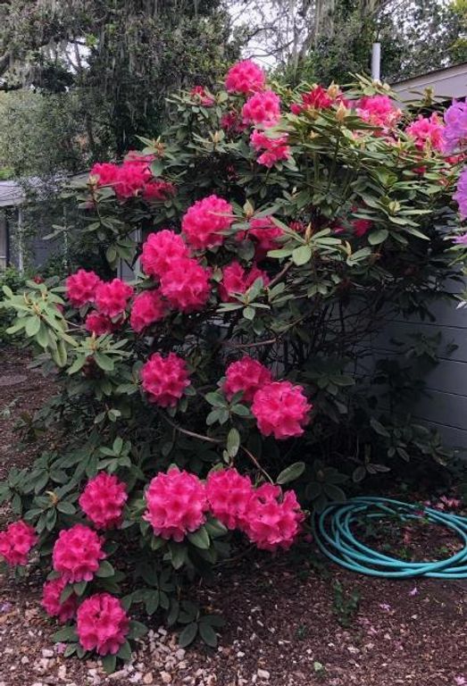 Image 35 of property listing at 25349 Flanders Drive, Carmel, CA 93923