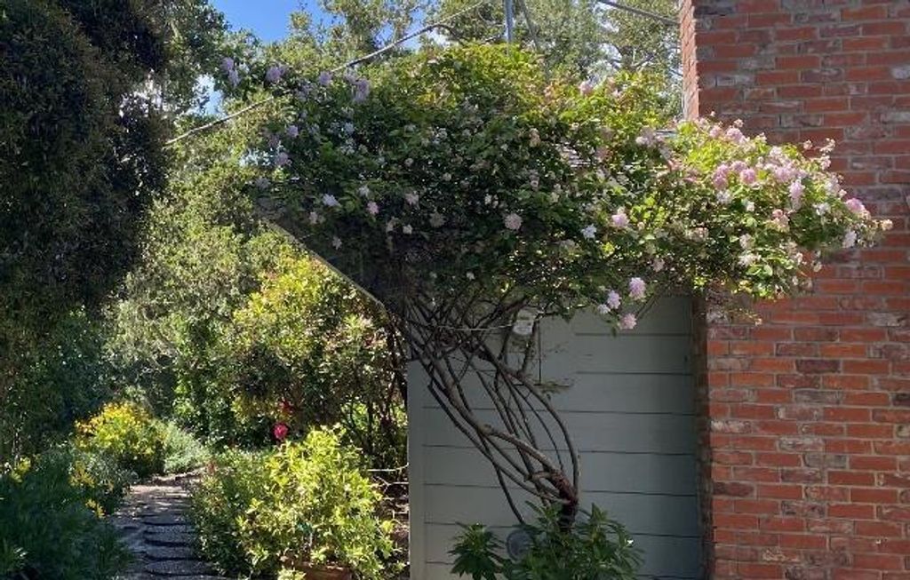 Image 36 of property listing at 25349 Flanders Drive, Carmel, CA 93923