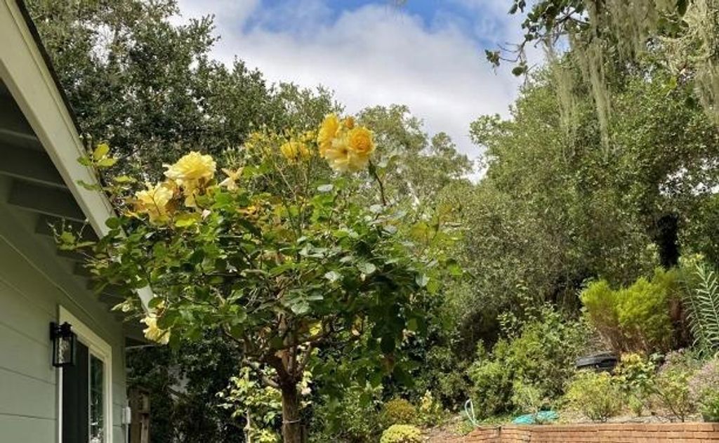 Image 38 of property listing at 25349 Flanders Drive, Carmel, CA 93923