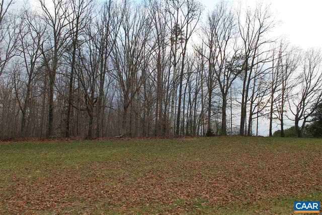 670 LANGDON DR, Dyke, VA 22935