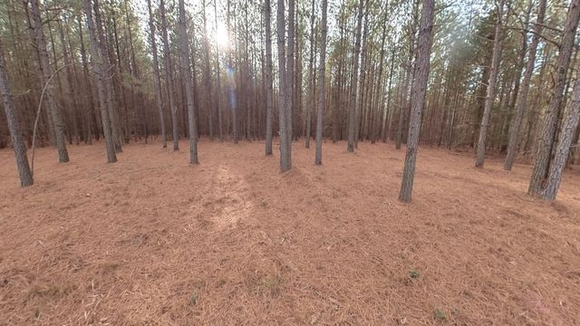 0 Big Soddy Drive Lot 12, Soddy Daisy, TN 37379