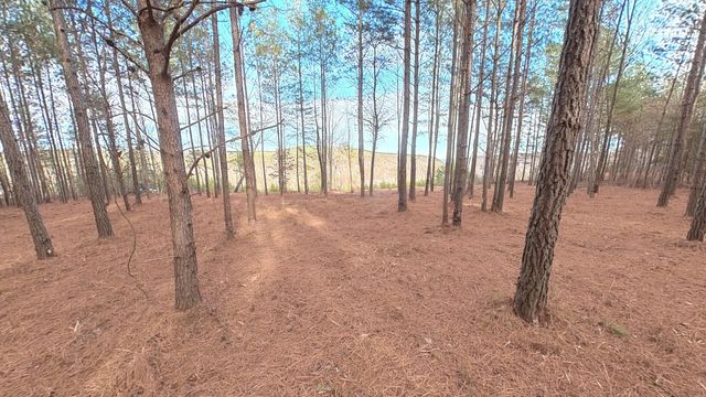 0 Big Soddy Drive Lot 12, Soddy Daisy, TN 37379