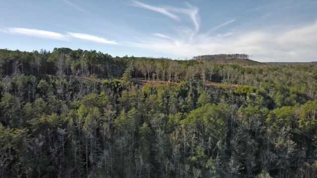 0 Big Soddy Drive Lot 12, Soddy Daisy, TN 37379
