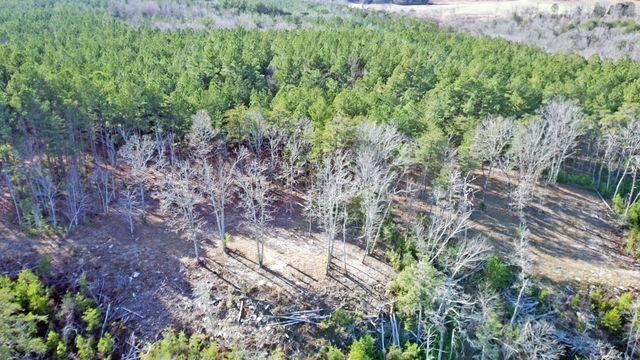 0 Big Soddy Drive Lot 12, Soddy Daisy, TN 37379