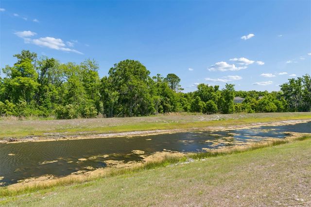 17647 CORTES CREEK BOULEVARD, Spring Hill, FL 34610