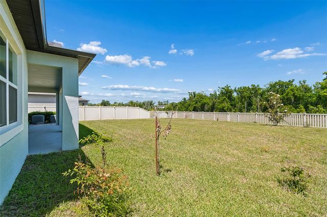 17647 CORTES CREEK BOULEVARD, Spring Hill, FL 34610