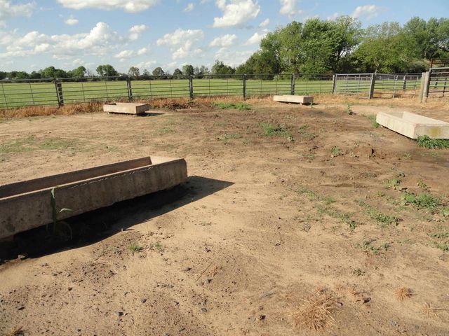 18 Hwy 124, Damascus, AR 72039