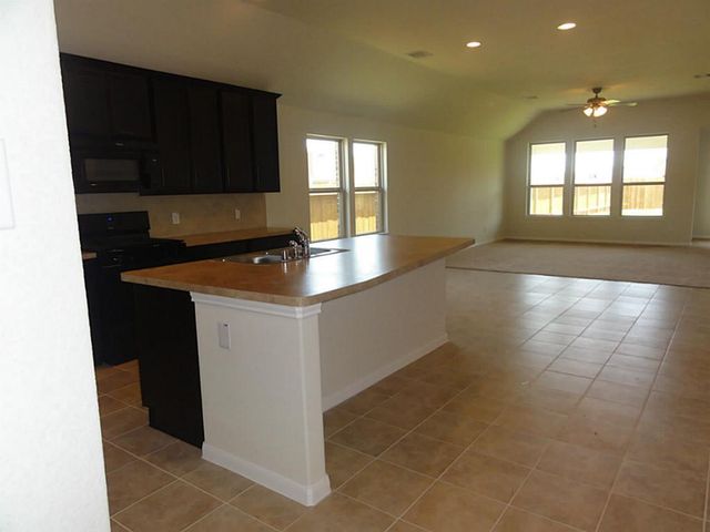 4203 Vining Rose Court, Katy, TX 77494