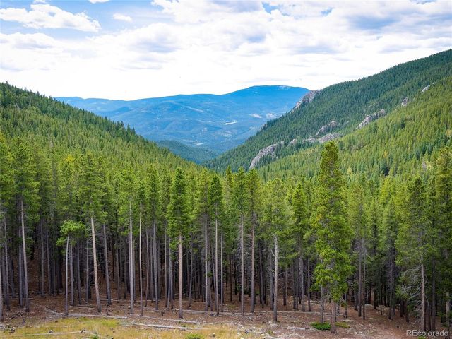 76 Raven Ridge Road, Idaho Springs, CO 80452