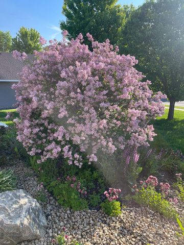 7609 Lasalle Avenue NE, Otsego, MN 55301