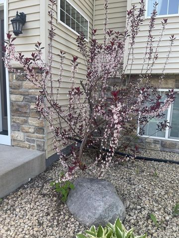 7609 Lasalle Avenue NE, Otsego, MN 55301