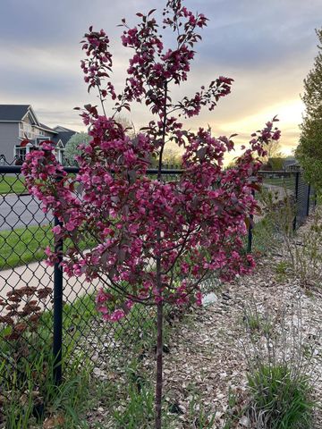 7609 Lasalle Avenue NE, Otsego, MN 55301