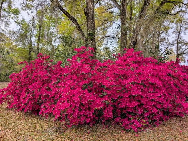 6250 NW 94TH LANE, Chiefland, FL 32626