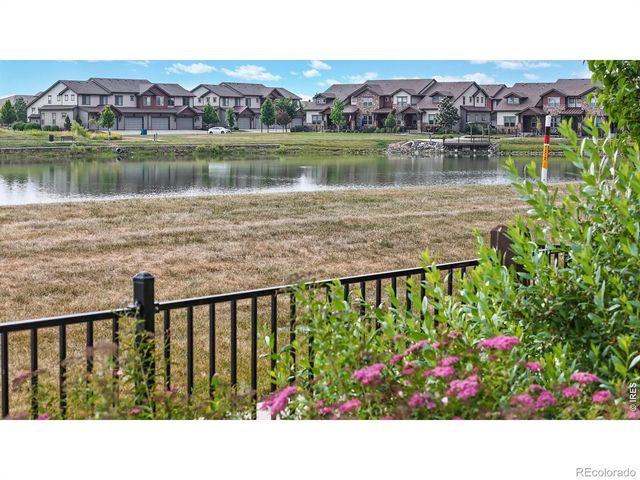 6236 Vernazza Way 3, Windsor, CO 80550