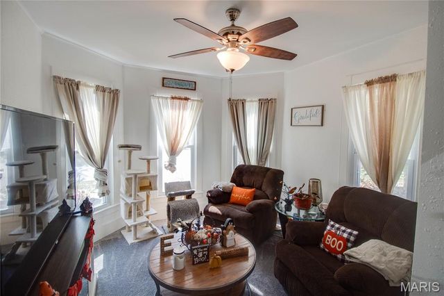 501 W Exchange Street, Jerseyville, IL 62052