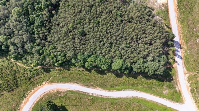 0 Saddleback Road 48, Dunlap, TN 37327