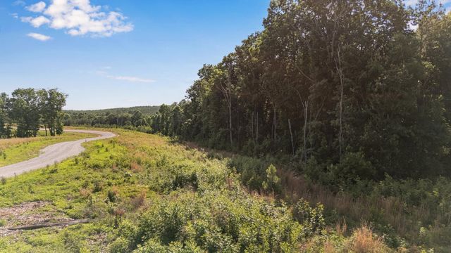 0 Saddleback Road 48, Dunlap, TN 37327