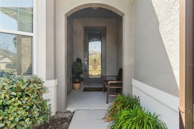 9748 IBIS GROVE BOULEVARD, Wesley Chapel, FL 33545
