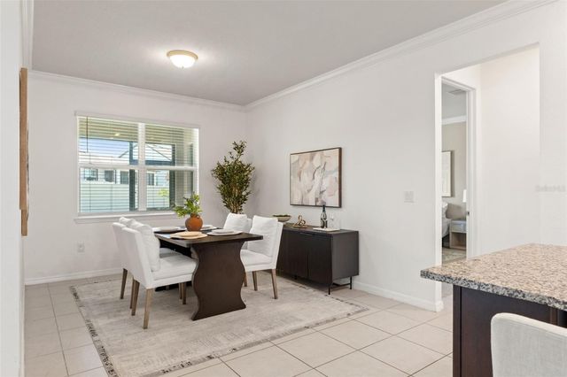 9748 IBIS GROVE BOULEVARD, Wesley Chapel, FL 33545