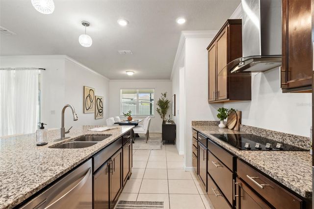 9748 IBIS GROVE BOULEVARD, Wesley Chapel, FL 33545