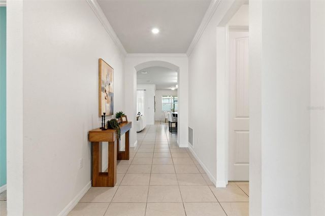 9748 IBIS GROVE BOULEVARD, Wesley Chapel, FL 33545