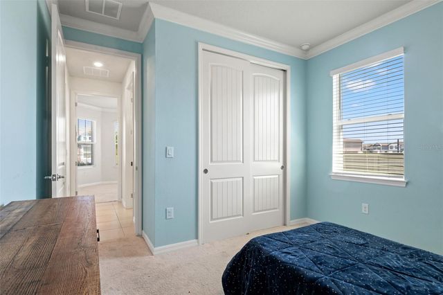 9748 IBIS GROVE BOULEVARD, Wesley Chapel, FL 33545