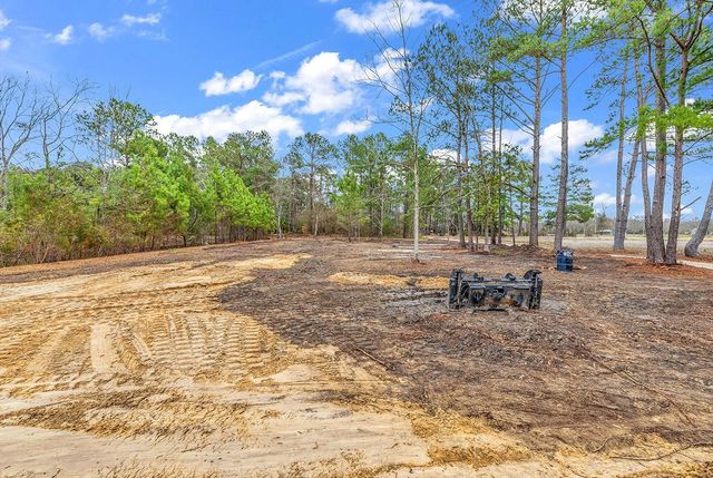 3930 Red Bluff Rd., Loris, SC 29569