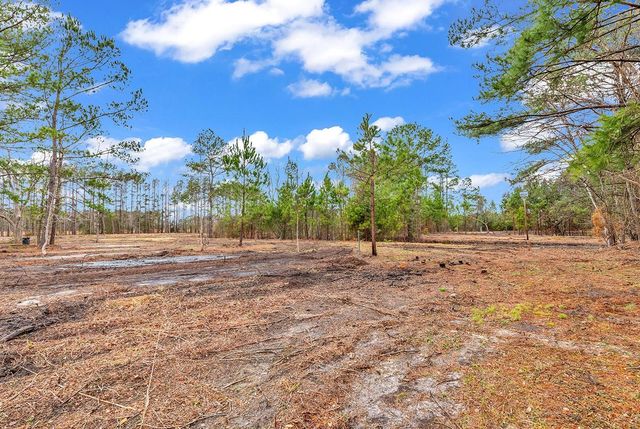 3930 Red Bluff Rd., Loris, SC 29569