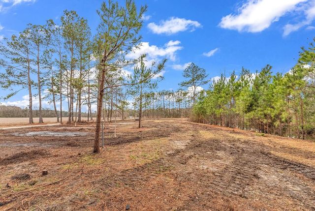 3930 Red Bluff Rd., Loris, SC 29569