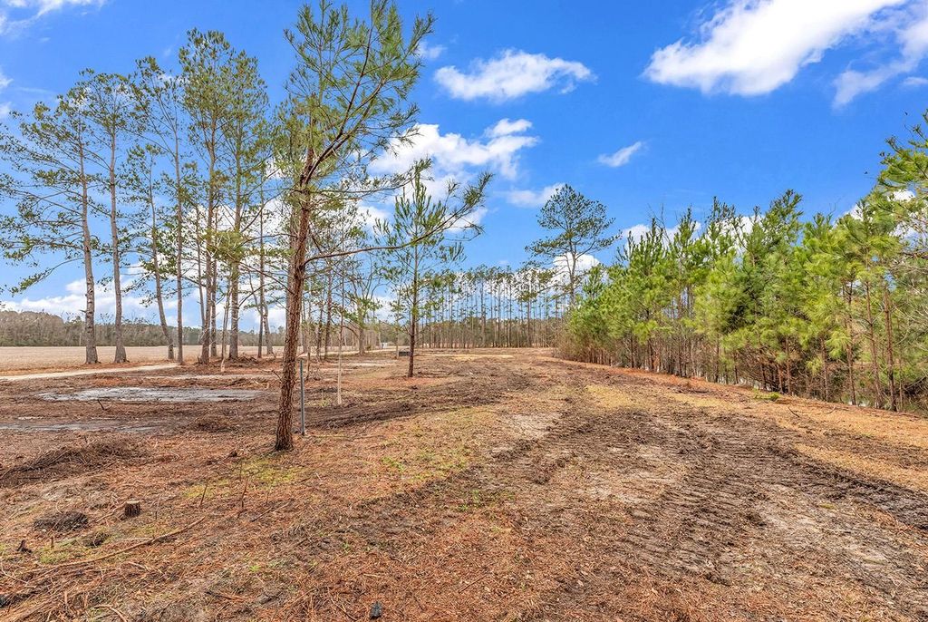 3930 Red Bluff Rd., Loris, SC 29569 — photo 4