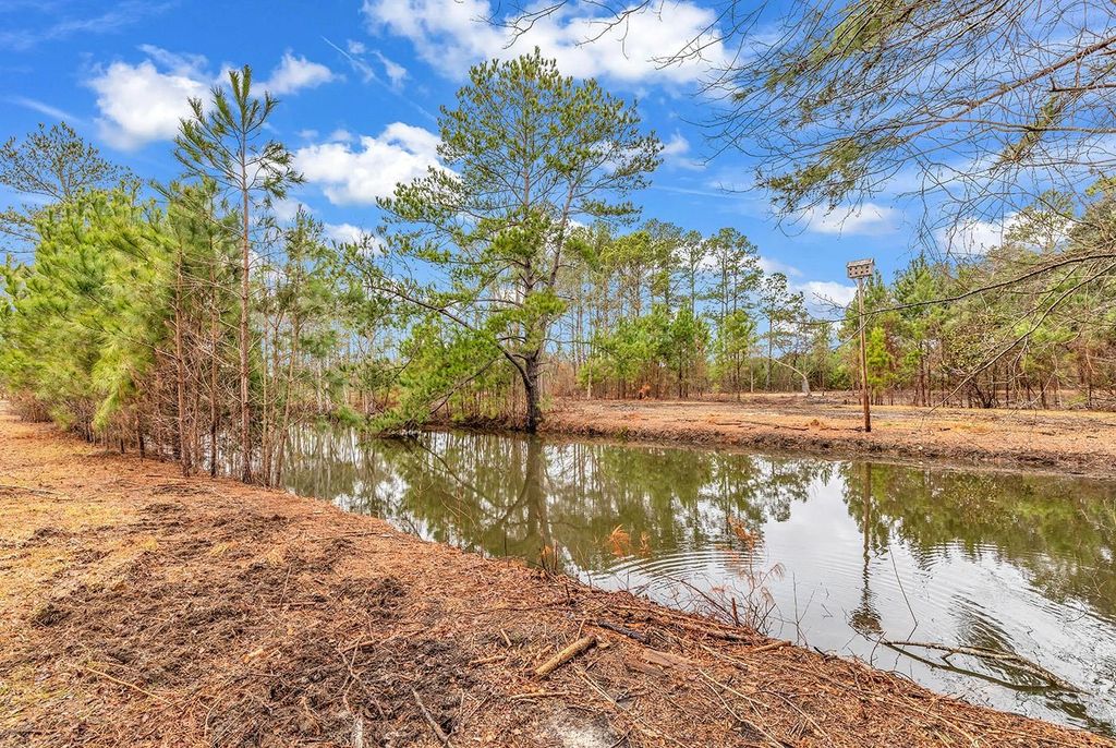 3930 Red Bluff Rd., Loris, SC 29569 — photo 5