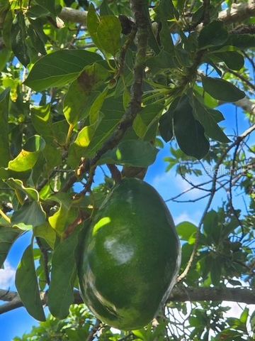 632 BLENHEIM LOOP, Winter Springs, FL 32708