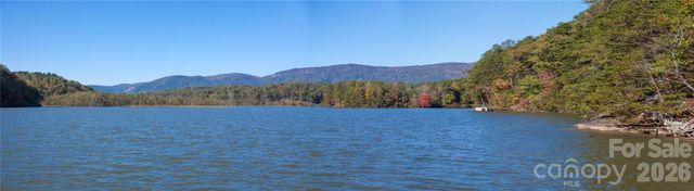 23 Mountain Parkway, Mill Spring, NC 28756