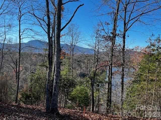 23 Mountain Parkway, Mill Spring, NC 28756