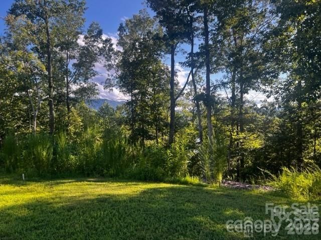 23 Mountain Parkway, Mill Spring, NC 28756