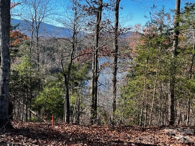 23 Mountain Parkway, Mill Spring, NC 28756
